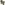 Load image into Gallery viewer, Under Armour Freedom By 1775 Skull T-Shirt (Tan)